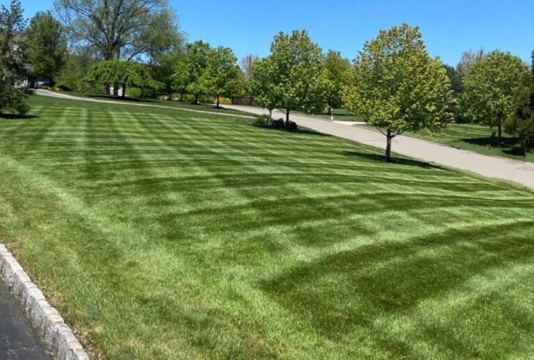 Lawn Maintenance, Mowing