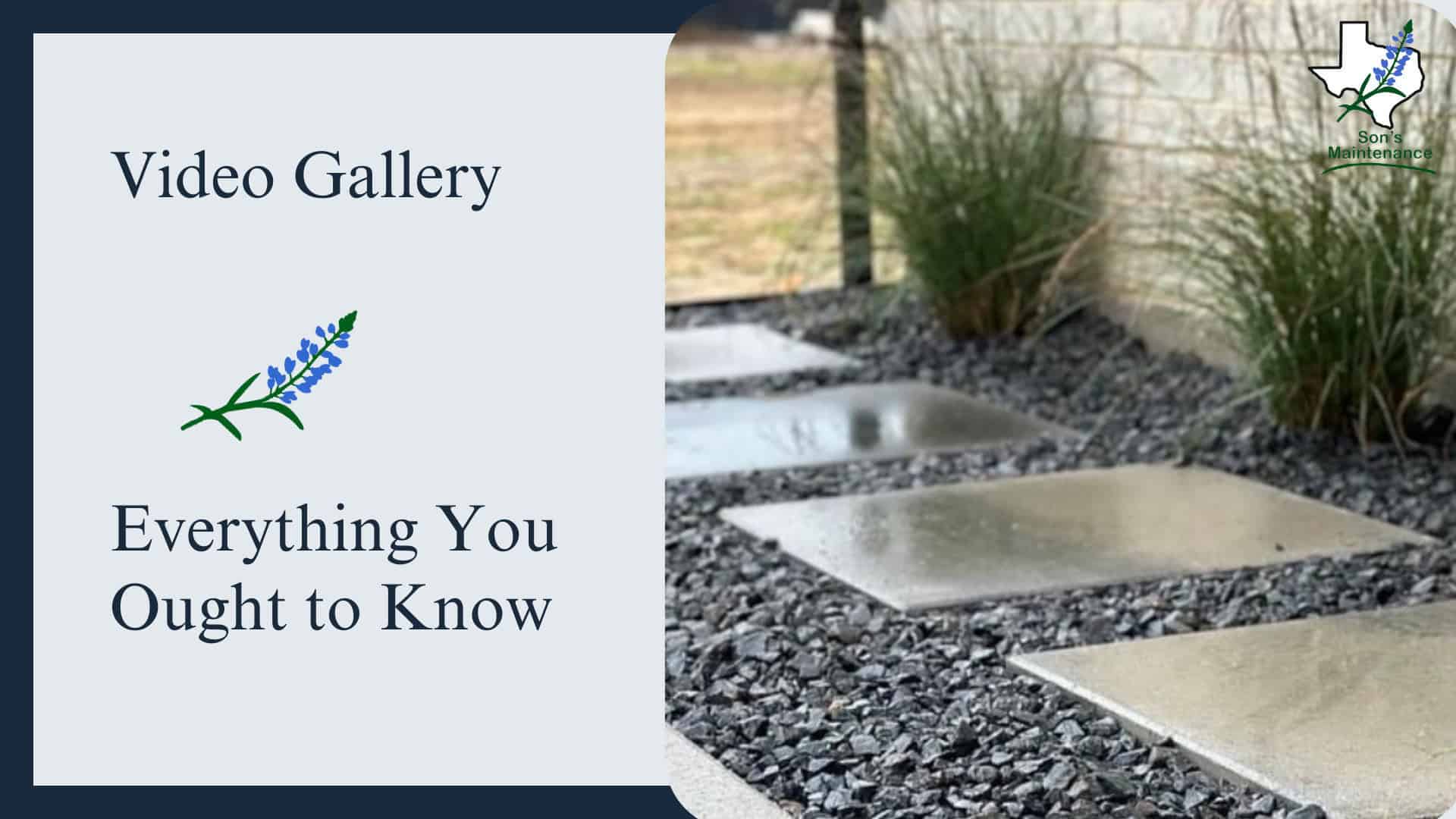 Educational Fun Videos preview