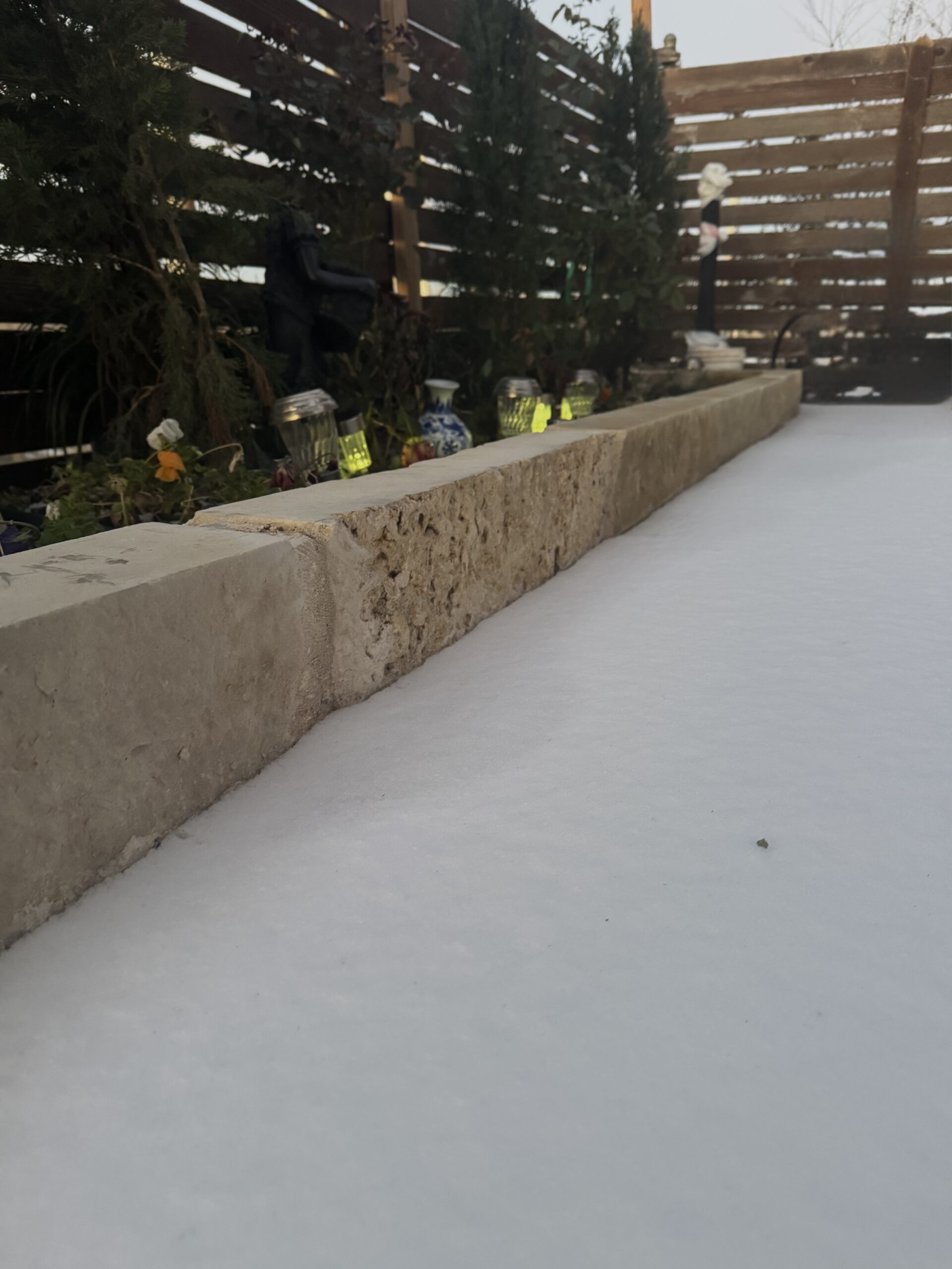 Ice covered plants and landscape after winter storm
